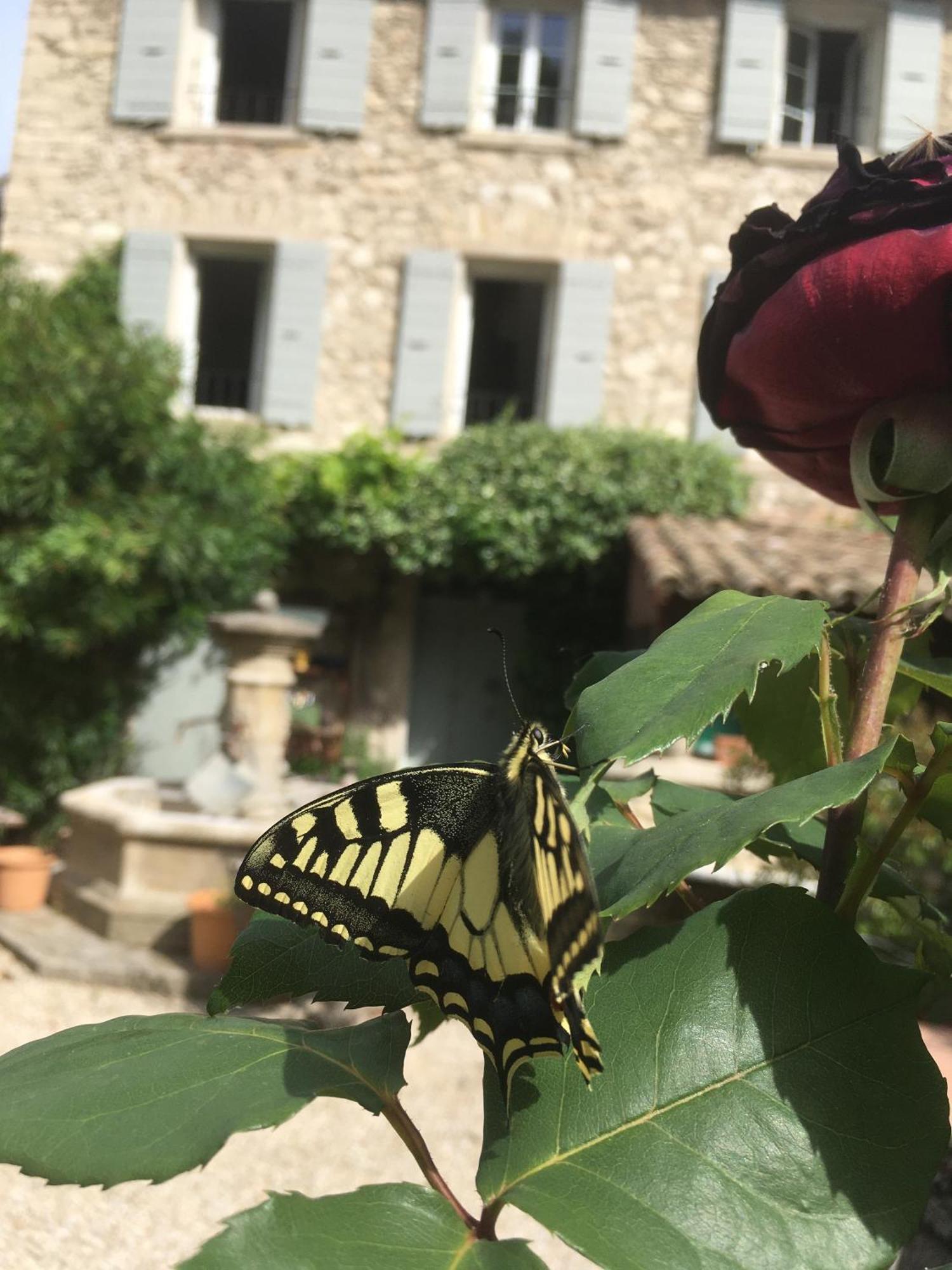 La Figuiere Fontaine De Vaucluse Bed & Breakfast Dış mekan fotoğraf